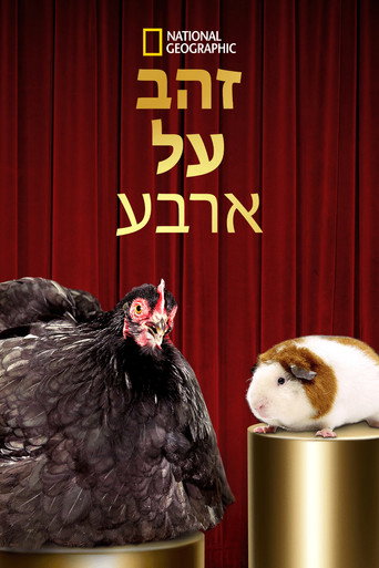 זהב על ארבע
