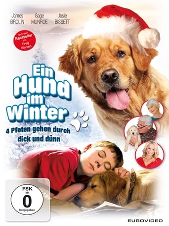 Ein Hund im Winter