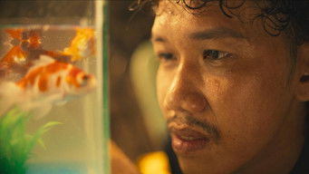 โมหะ: โทงเทงเชื่อม