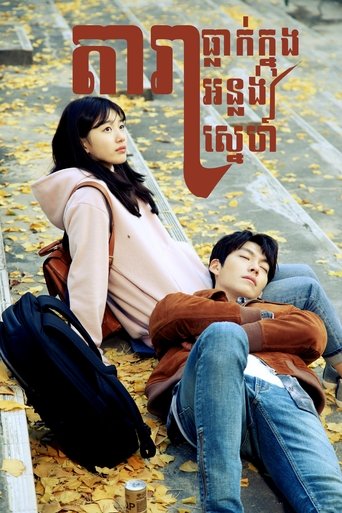 함부로 애틋하게