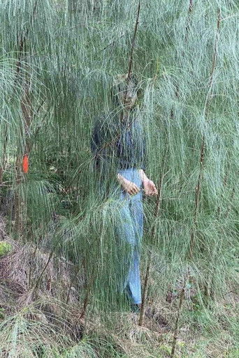 Hair is a piece of head poster