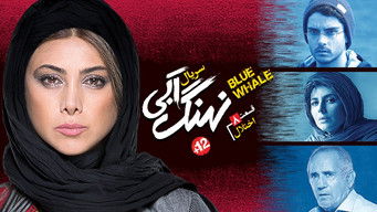 Episode 8 — Disorder