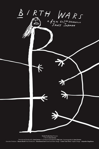 Birth Wars poster