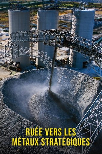 Raw materials for the future (2024)