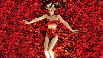 American Beauty backdrop 1
