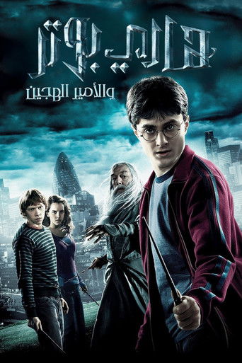 هاري بوتر و الأمير هجين الدم (2009)
