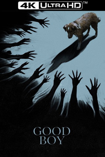 Póster de Good Boy