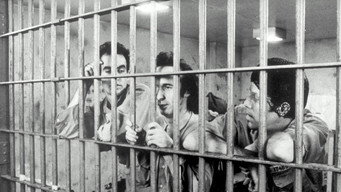 #13 Поза законом