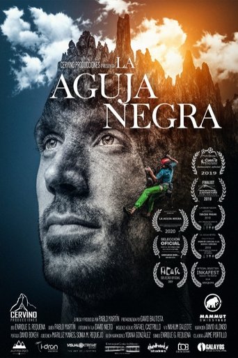 La Aguja Negra poster