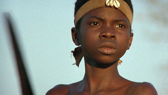 The Lion Child (1993)