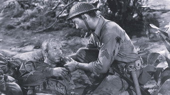 #6 Bataan