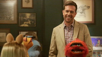 Ed Helms — photo 4