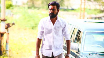 #27 Kodi