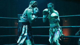 The Fighter (2022)