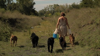 #7 Dog Lady