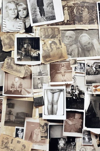 A Slide Show and Talk by Diane Arbus — Film en streaming