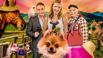 PawParazzi media image