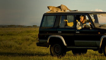 Cat Wars: Lion Vs. Cheetah (2011)