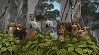 The Wild Adventures of Blinky Bill - S1E01