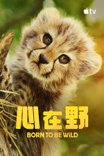 Born to Be Wild — Posters 17