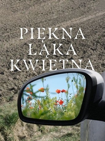Piękna łąka kwietna Piękna łąka kwietna