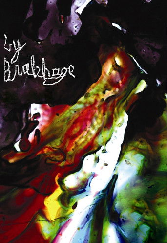 Films by Stan Brakhage: An Avant-Garde Home Movie (1961)