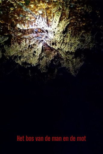 The Forest of the Man and the Moth (2026)