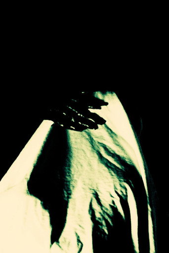 REFLECTION.mp4 — Pósters 9