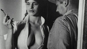 The Immoral Mr. Teas (1959)