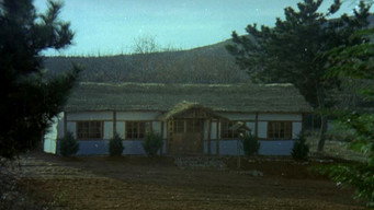 The Evergreen Tree (1978)