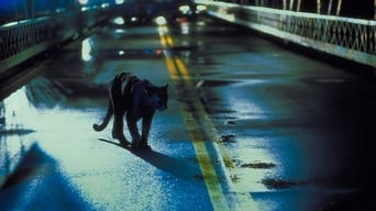#37 Люди-коти