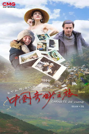 中国奇妙之旅 poster