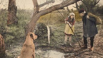 Through the Back Door (1921)