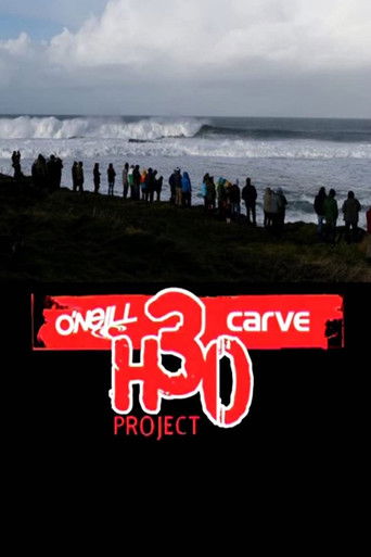 The H30 Project poster