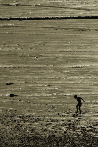 World Without End (No Reported Incidents) poster 1