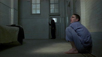 #11 Пташка