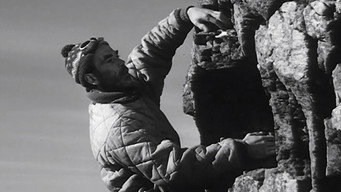 Venner (1960)