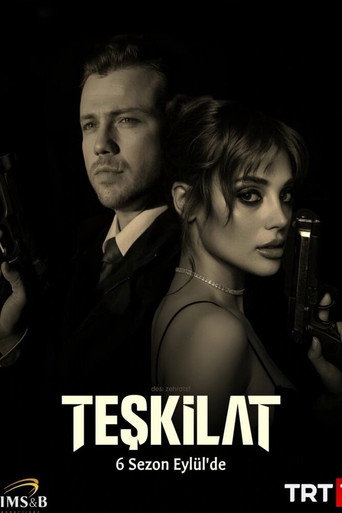 Teşkilat — Pôsteres 14