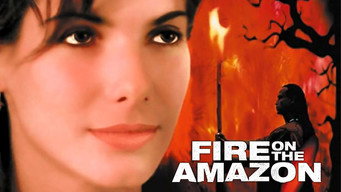 #4 Fire on the Amazon