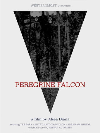 Peregrine Falcon