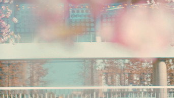 #17 Пошук: WWW