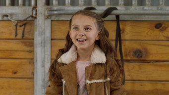 A Country Christmas (2013)