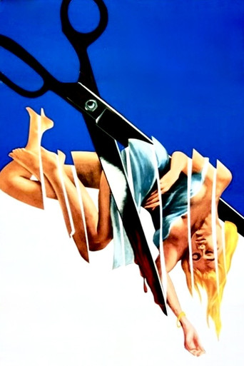 Poster 12