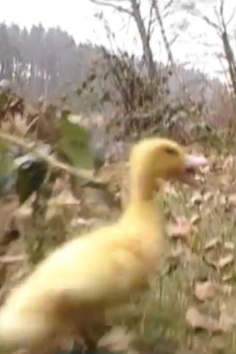 La Terre n'est pas une poubelle