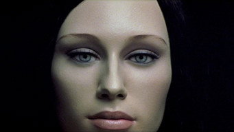 Contracuerpo (2005)