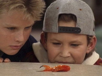 Un chapuzas en casa T2E14