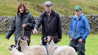 The Dales (2011-2013)
