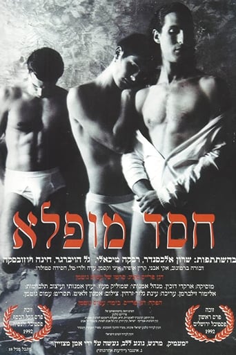 Poster of חסד מופלא