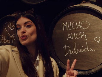 Dulceida al desnudo 2+1 T1E4