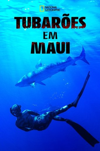 Maui Shark Mystery